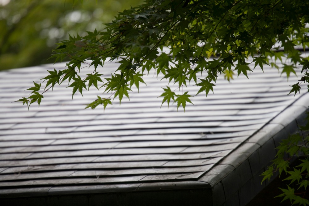 1. 現地(建物)調査